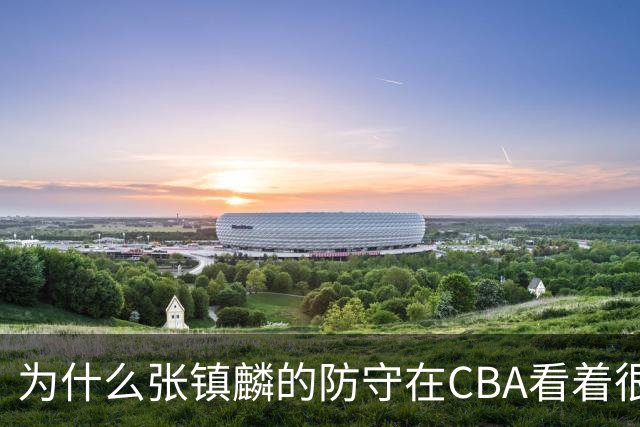 为什么张镇麟的防守在CBA看着很顶，到了国际赛场就不行了？
